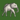 Mahisha.png